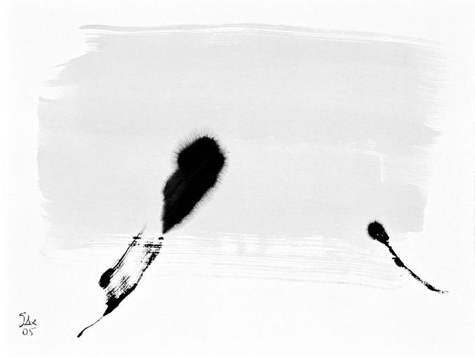 5-2005 immerge 51x66 chf 2000.jpg